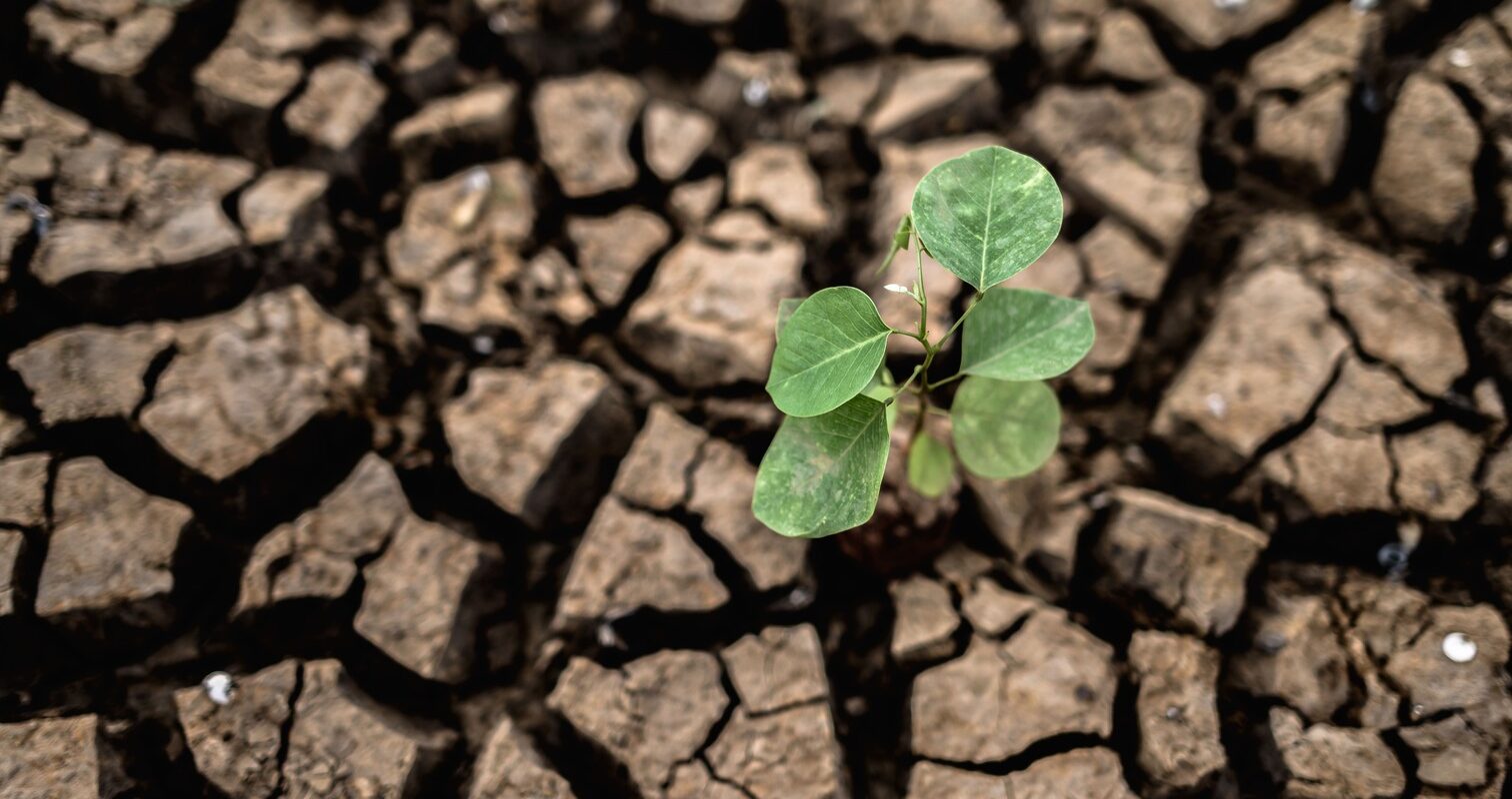 cambio climatico