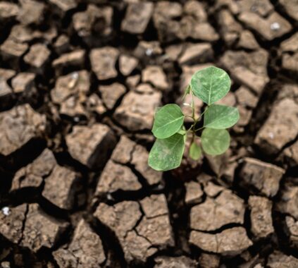 cambio climatico