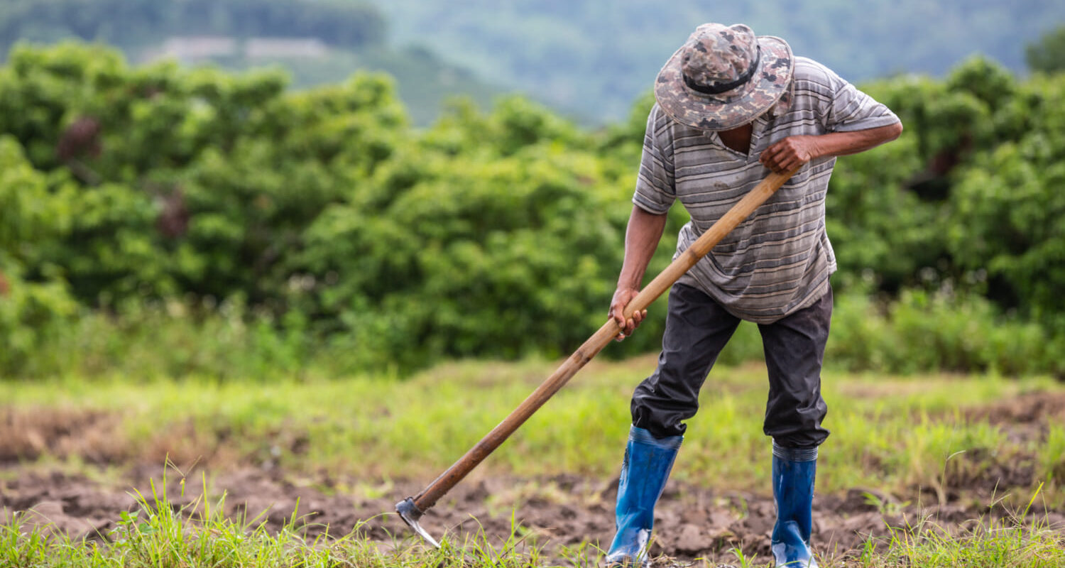 Agroindustria y Agricultura en Hidalgo