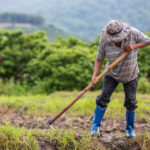 Agroindustria y Agricultura en Hidalgo