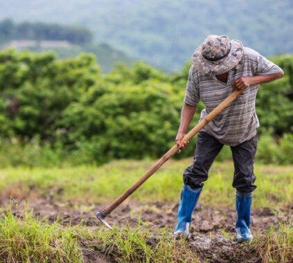 Agroindustria y Agricultura en Hidalgo