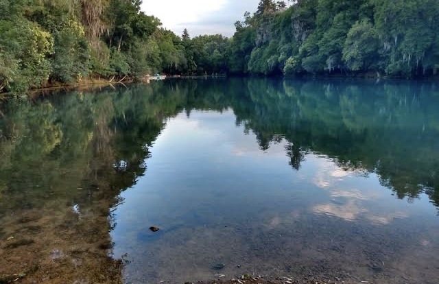 Bosque de las Truchas