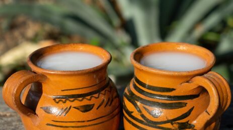 pulque en Hidalgo